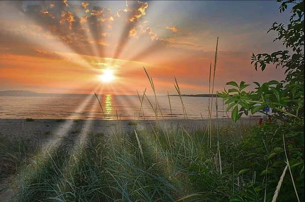 Havsnära hus "Lilla Grå"  Skälderviken, Ängelholm. - Bild 51