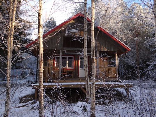 Bild 4 på Mysig stuga på en alpackagård