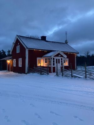 Torp