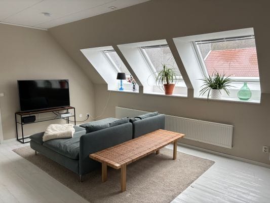 Hus nära skog och hav - Bild 14