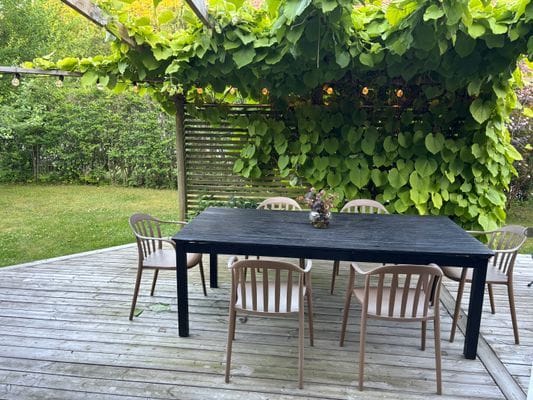 Hus nära skog och hav - Bild 20