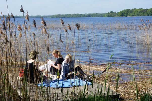 Stuga på bästa läge på sagoön IVÖ - Bild 11