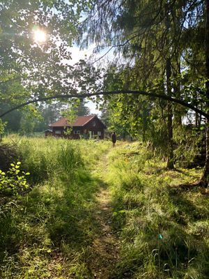 Skärgårdsdröm på Södermöja - Bild 45