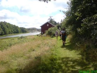 Valön i Stigfjorden, Nösund, Orust - Bild 12