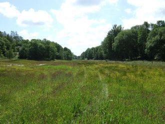 Valön i Stigfjorden, Nösund, Orust - Bild 10