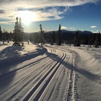 Lofsdalsspår