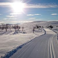 Lofsdalsspår