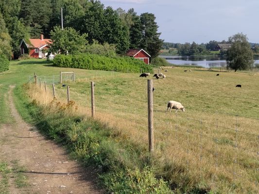 Hyr denna stuga i Linköping på 50 m². 2-4 sängplatser. Från 3 500 kr per vecka. Se bilder och tillgänglighet här.