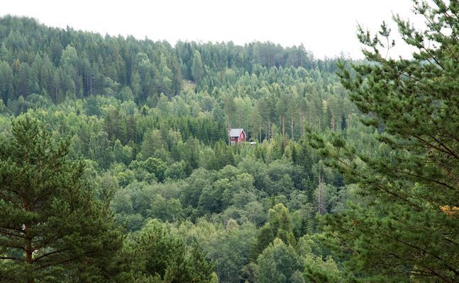 It looks like a troll has put the house down by the trees.