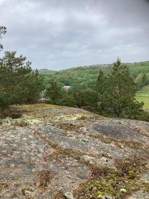 Uthyres stuga Hamburgö på Sveriges västkust