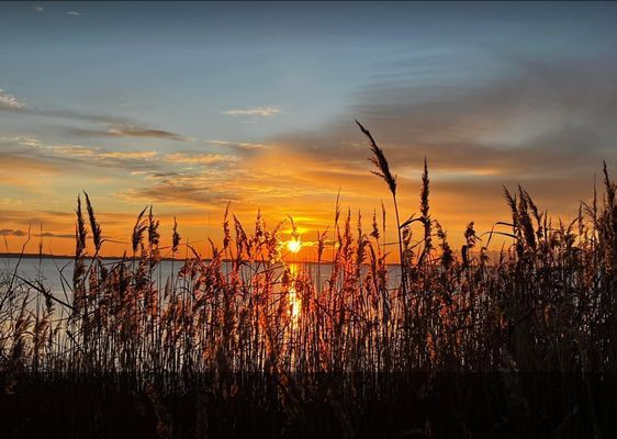 Havsnära hus "Lilla Grå"  Skälderviken, Ängelholm. - Bild 53