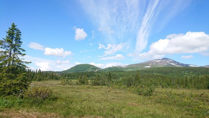 Stor lägenhet  i familjevänliga Åre Björnen - Bild 14