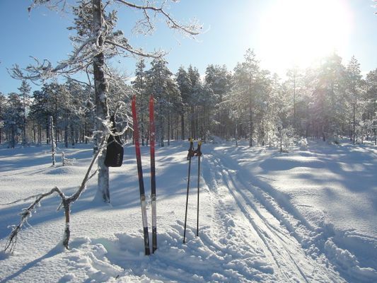 Panoramaboende 2 - Bild 9