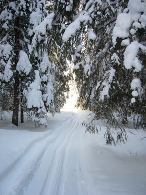 Panoramaboende 2 - Bild 10