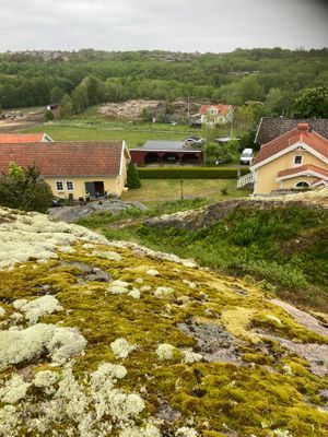 Uthyres stuga Hamburgö på Sveriges västkust