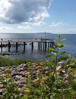 Havsnära hus "Lilla Grå"  Skälderviken, Ängelholm. - Bild 34