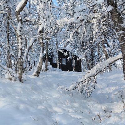Trevlig stuga med härlig utsikt över Bruksvallarna - Bild 14