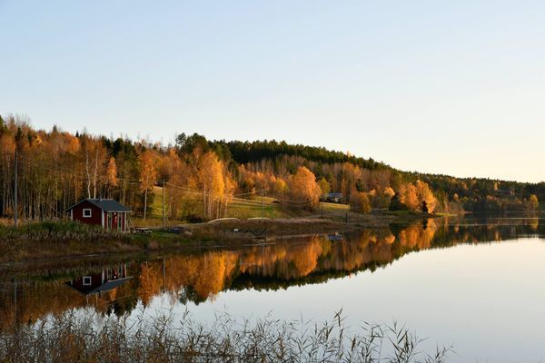 Bekväma torpet i Sjö, fint hus med enskilt läge - Bild 39
