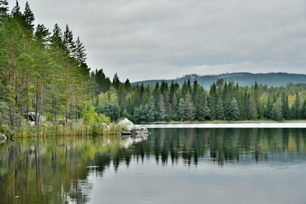 Bekväma torpet i Sjö, fint hus med enskilt läge - Bild 51