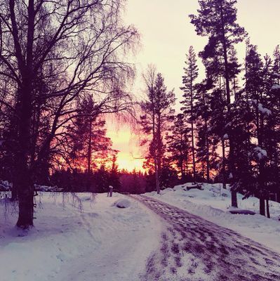 Bekväma torpet i Sjö, fint hus med enskilt läge - Bild 45
