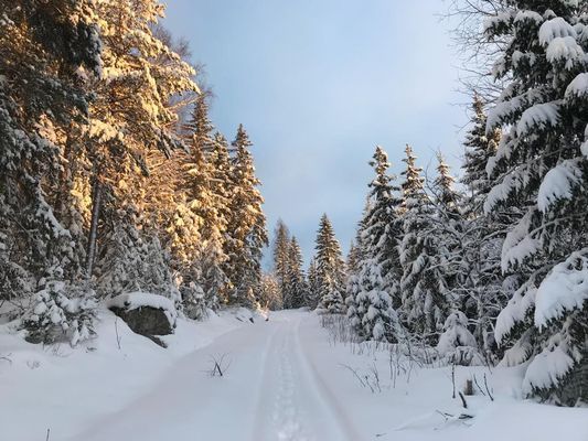 Bekväma torpet i Sjö, fint hus med enskilt läge - Bild 23