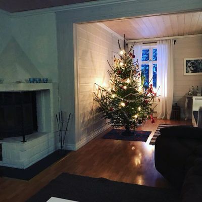 Bekväma torpet i Sjö, fint hus med enskilt läge - Bild 41