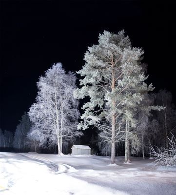 Bekväma torpet i Sjö, fint hus med enskilt läge - Bild 24
