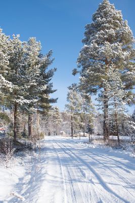 Bekväma torpet i Sjö, fint hus med enskilt läge - Bild 19