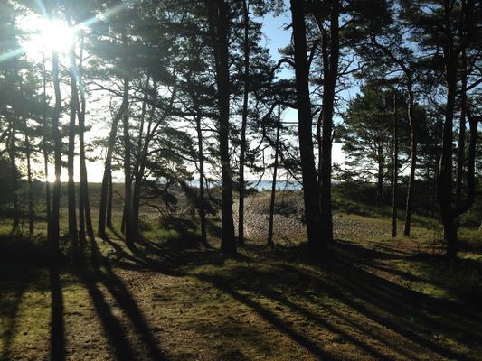 Strandnära stuga i Nyehusen, Yngsjö - Bild 16