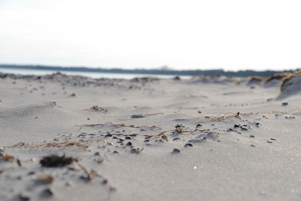 Boende 8 bäddar  Tofta Strand Gotland - Bild 15