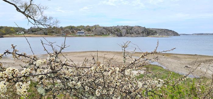 NY! 300m till fin sandstrand, ledig alla veckor