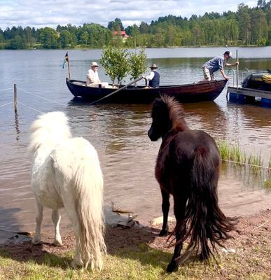 Bild 4 på Stuga med sjötomt , ponnyer i hagen , jacuzzi .