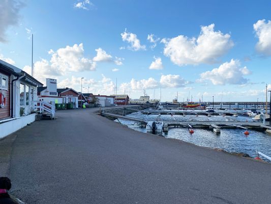 Gatuhus vid Torekovs hamn med havsutsikt | SE01043 - Bild 18