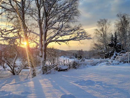 Lantromantik Brottby, nära bad o 30 min från Sthlm - Bild 26
