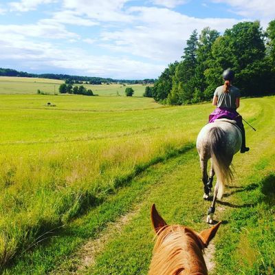 Lantromantik Brottby, nära bad o 30 min från Sthlm - Bild 25