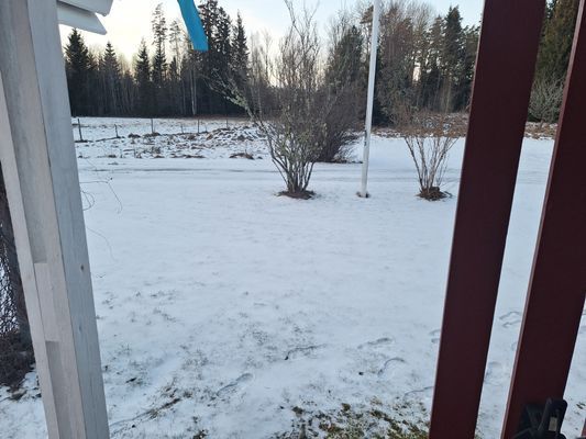 Bolyckan; småländsk avskildhet när den är som bäst - Bild 16