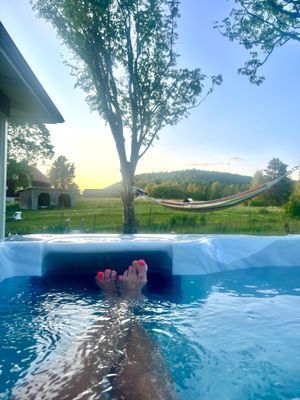 Stuga med sjötomt , ponnyer i hagen , jacuzzi . - Bild 11