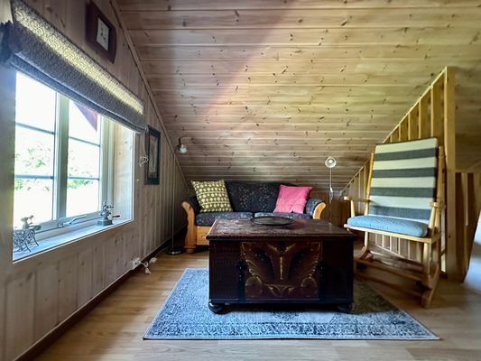 Villa Brona Värmland Arjäng Kanot SUP - Bild 18