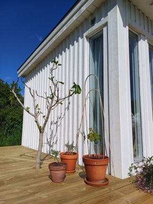 Bild 3 på Nybyggd gäststuga