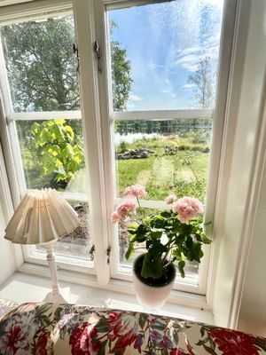 Stuga med sjötomt , ponnyer i hagen , jacuzzi . - Bild 20