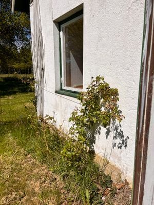 Fyra sängplatser i ett magasin på södra Gotland - Bild 13
