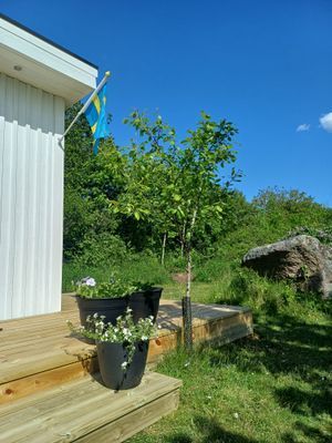 Nybyggd gäststuga - Bild 13