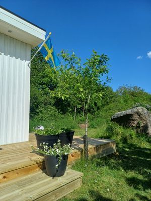 Nybyggd gäststuga - Bild 6