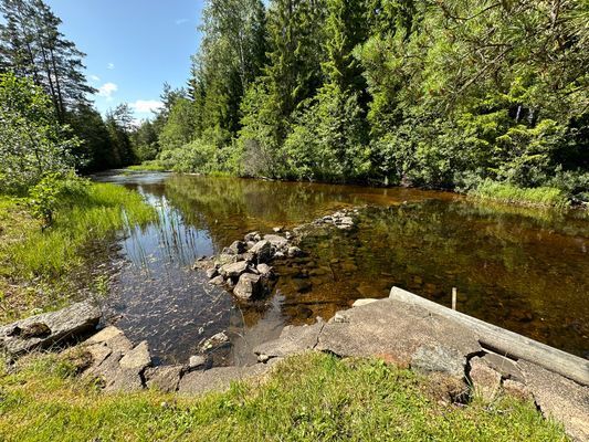 Villa Brona Värmland Arjäng Kanot SUP - Bild 6