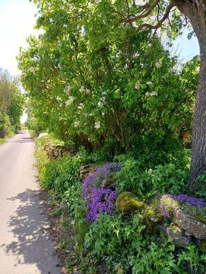 Nybyggd gäststuga - Bild 24