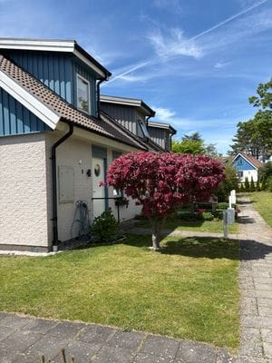 Bild 4 på Abbekås, sydkustens pärla