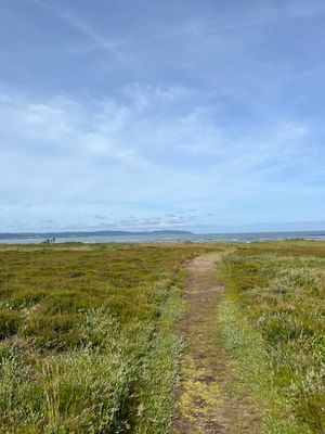 Mysig röd stuga vid havet, 10 min från Båstad - Bild 27
