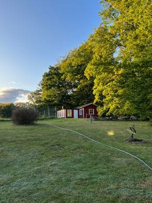Stuga vid naturreservat - Bild 7