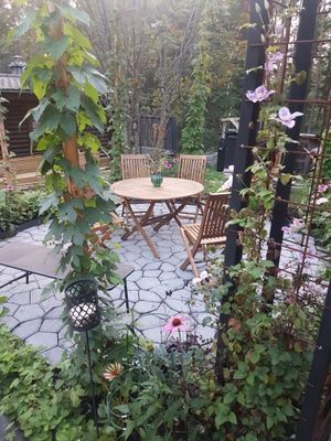 Timmerstuga med bastu m relax och växthus - Bild 9