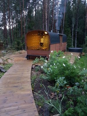 Timmerstuga med bastu m relax och växthus - Bild 20